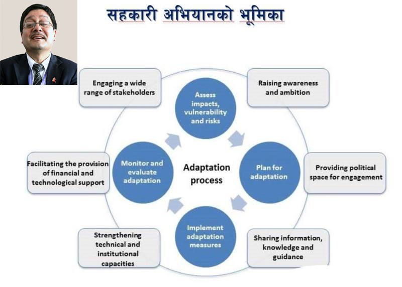 जलवायु अनुकूलनमा सहकारीको भूमिका